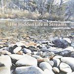 The Hidden Life in Streams