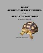 Baby African Spur-Thighed or Sulcata Tortoise Picture Book