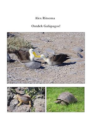 Ontdek Galápagos!