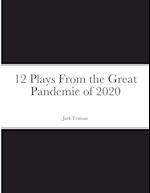 12 Plays From the Great Pandemic of 2020