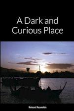 A Dark and Curious Place 