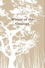 Winter of the Gnomes 