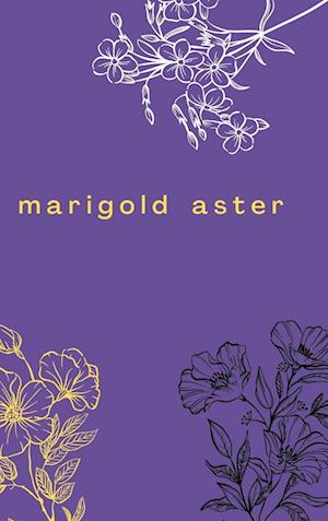 Marigold Aster