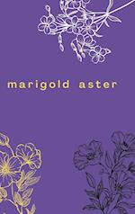 Marigold Aster 