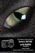 The Friedman Archives Guide to Sony's Alpha 6100 and 6600 (B&W Edition) 