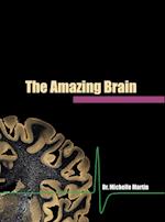The Amazing Brain 