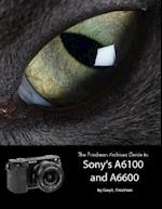 Friedman Archives Guide to Sony's Alpha 6100 and 6600