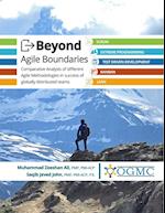 Beyond Agile Boundaries 