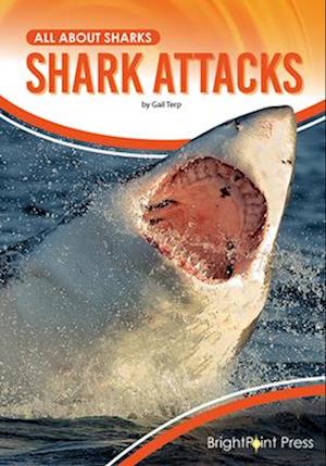 Shark Attacks