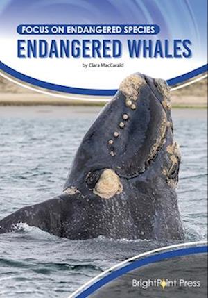 Endangered Whales