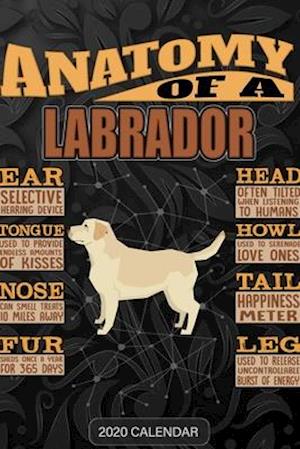 Få Anatomy Of A Labrador Retriever af Maria Name Planners som Paperback