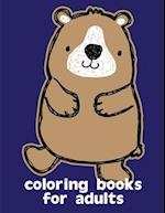 Coloring Books For Adults