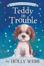 Teddy in Trouble