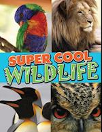 Super Cool Wildlife