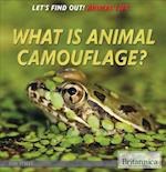 What Is Animal Camouflage?