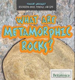 What Are Metamorphic Rocks?