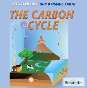 The Carbon Cycle