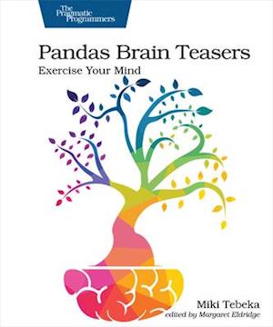 Pandas Brain Teasers