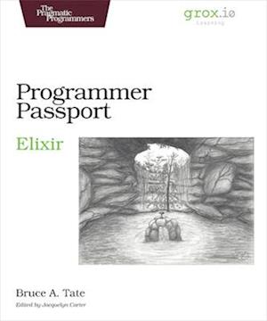 Programmer Passport: Elixir