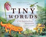 Tiny Worlds of the Appalchian Mountains