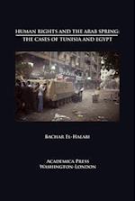 Human Rights and the Arab Spring
