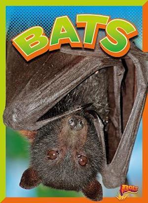 Bats