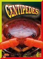 Centipedes