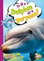 Is It a Dolphin or a Porpoise?