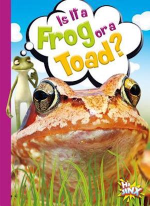 Is It a Frog or a Toad?