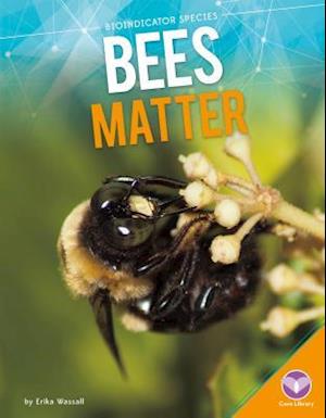 Bees Matter