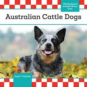 Australian Cattle Dogs