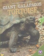 Giant Gal&#xe1;pagos Tortoise