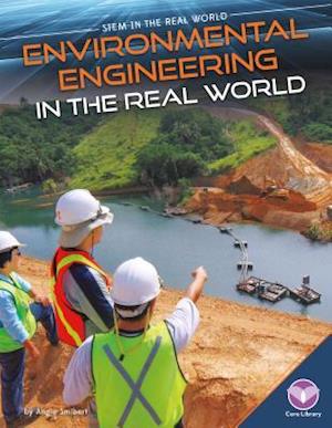 Environmental Engineering in the Real World