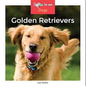 Golden Retrievers