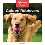 Golden Retrievers