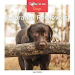 Labrador Retrievers