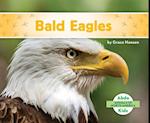 Bald Eagles