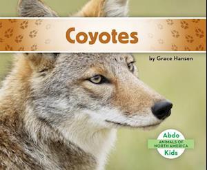 Coyotes