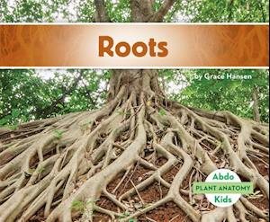 Roots