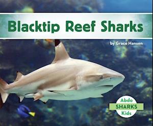 Blacktip Reef Sharks