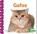 Gatos (Cats) (Spanish Version)