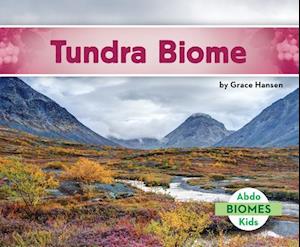 Tundra Biome