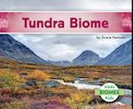 Tundra Biome