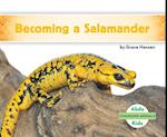 Becoming a Salamander