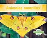 Animales Amarillos (Yellow Animals) (Spanish Version)
