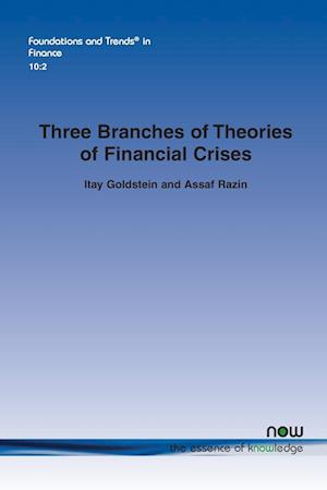 Three Branches of Theories of Financial Crises