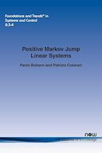 Positive Markov Jump Linear Systems