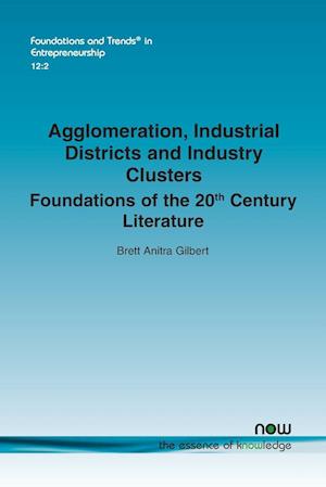 Agglomeration, Industrial Districts and Industry Clusters