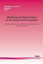 Modeling and Optimization of the Smart Grid Ecosystem