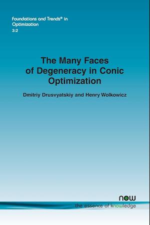 The Many Faces of Degeneracy in Conic Optimization